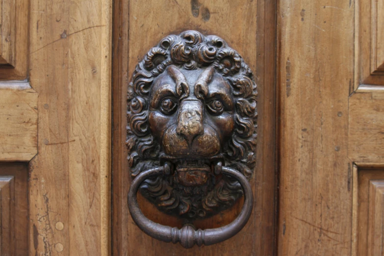 a metal lion head knockle on a wood door