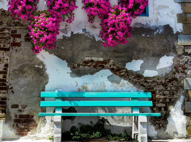 a blue bench with purple flowers growing outside