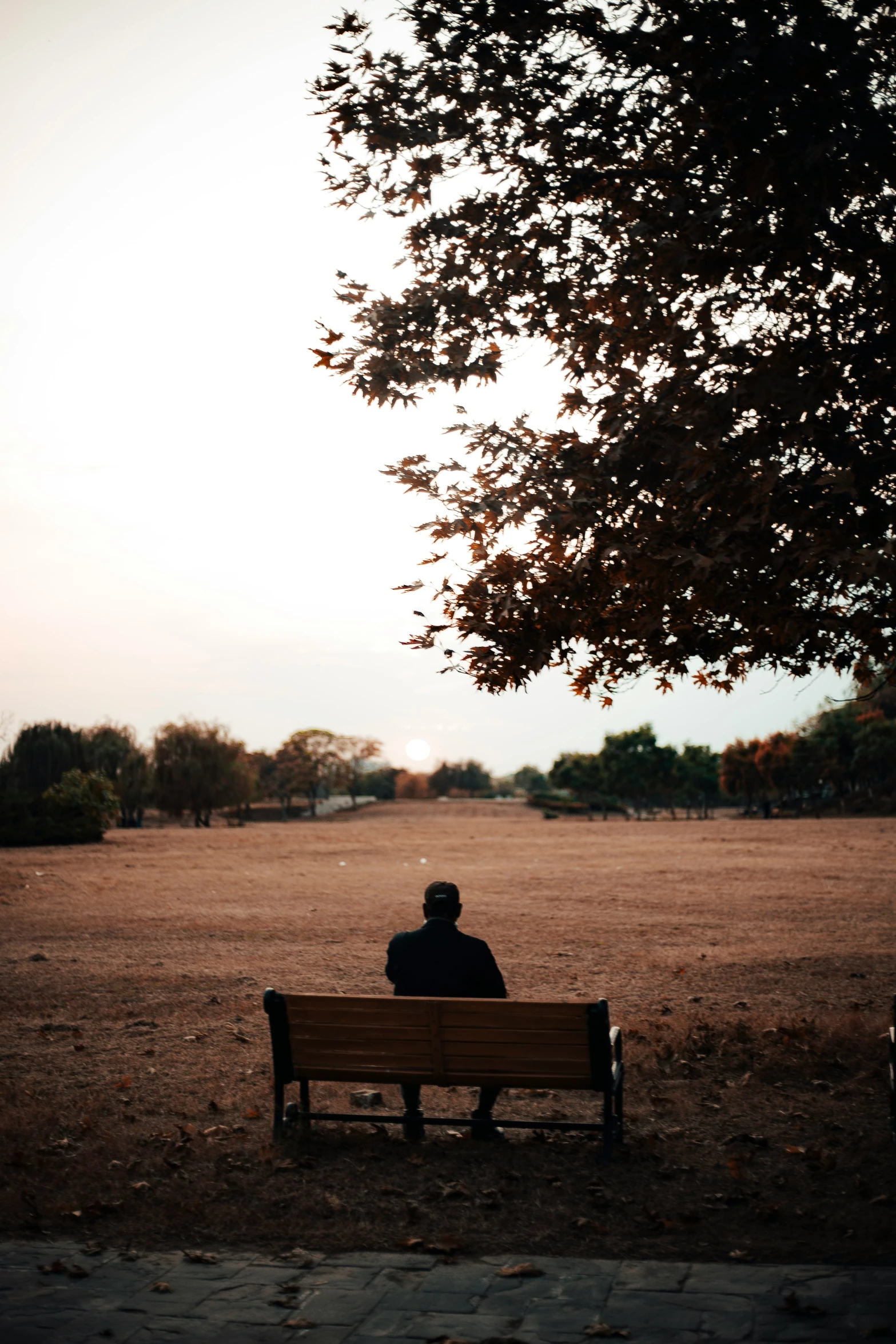 a man sitting on a bench on a field