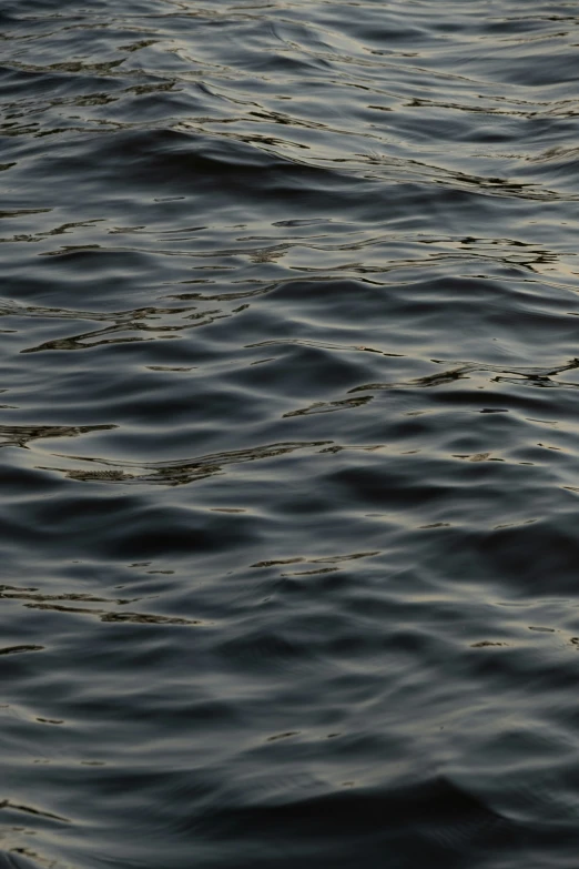 a picture of some dark gray water waves