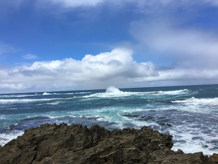 a lone bird is perched on a rock at the beach