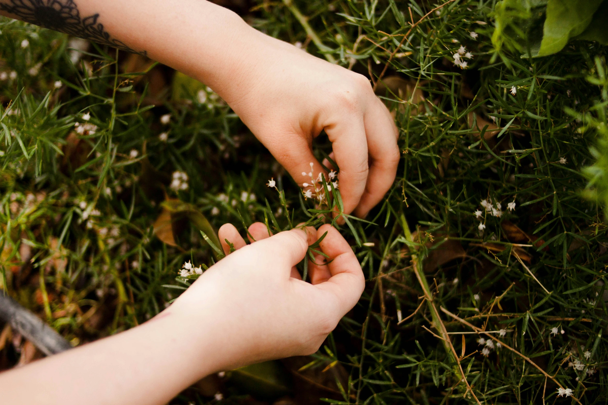 the girl is holding the flower in her hand