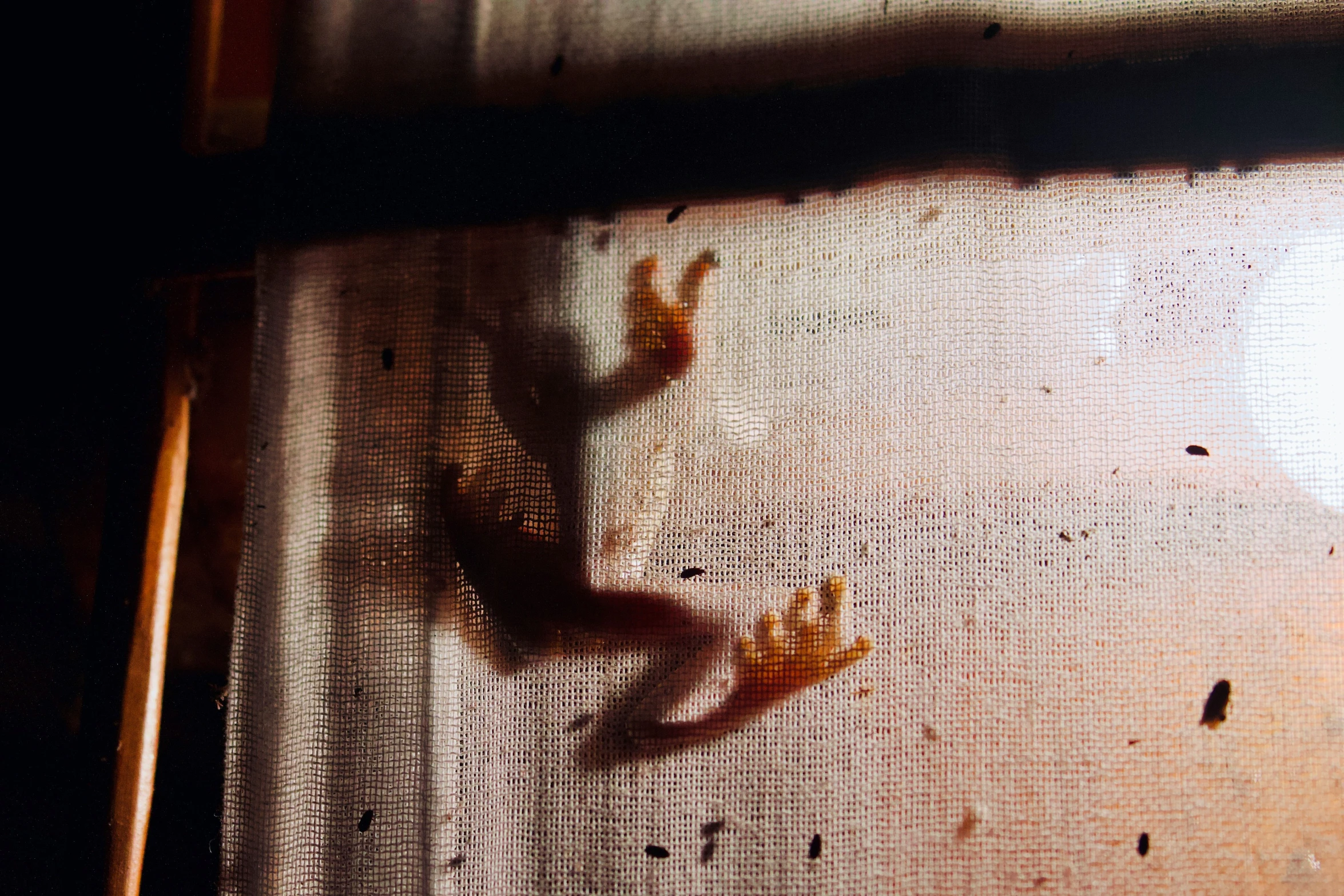 the shadow of a small child crawling on a screen door