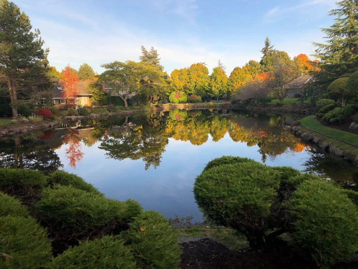 the view from inside a garden looking at a pond