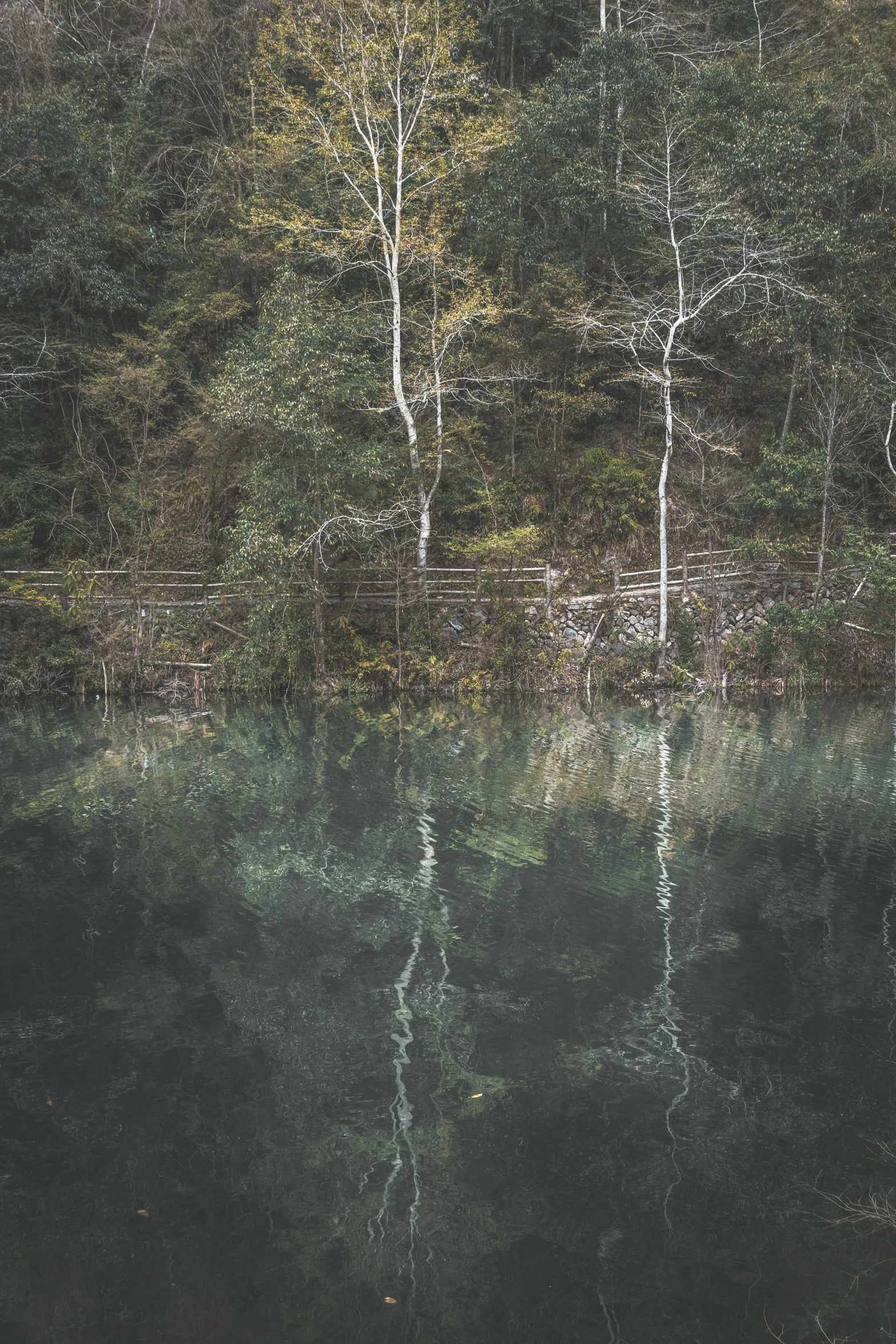 the water in the lake has reflection of trees on it