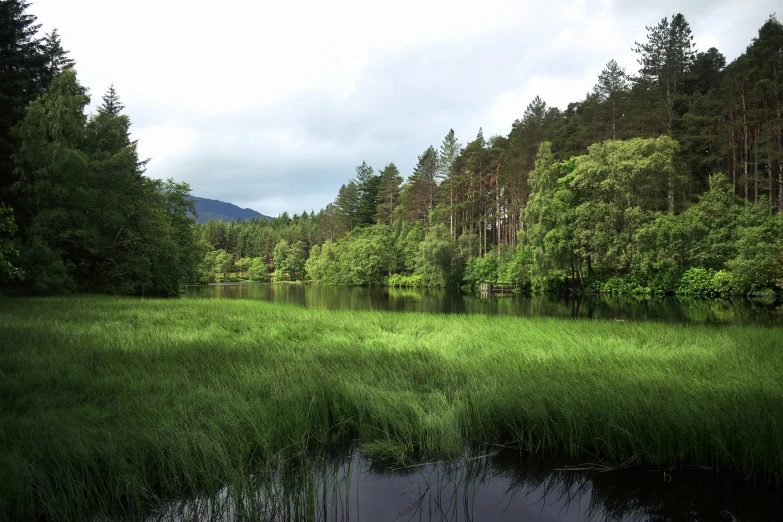 a field with water in the middle of it