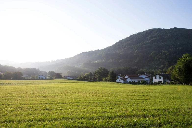 the grass in front of a house with a mountain behind it