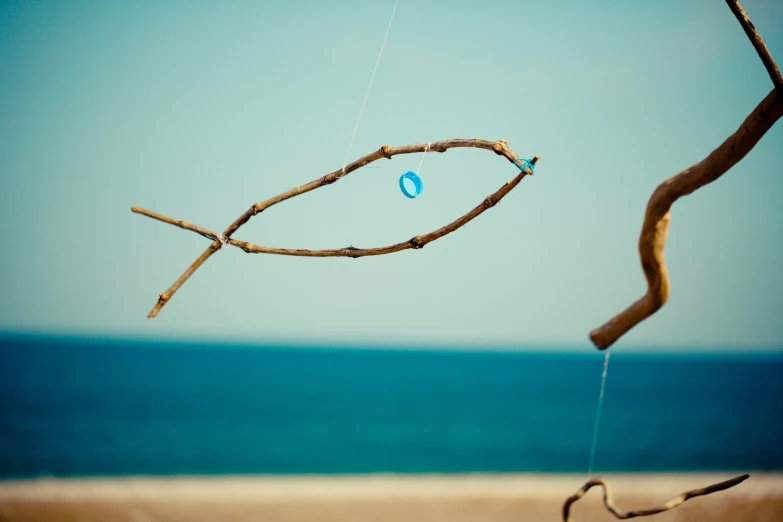 a fish is tied to a nch by the water