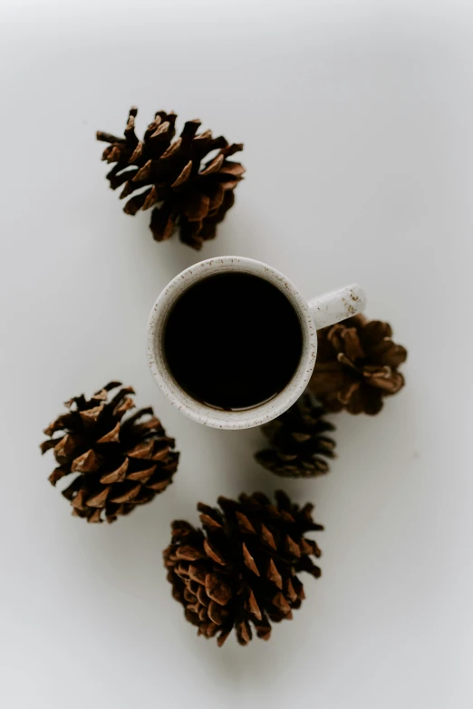 a cup of coffee sitting next to pine cones