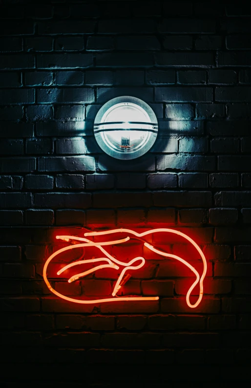 neon sign with hand of a bird on the side