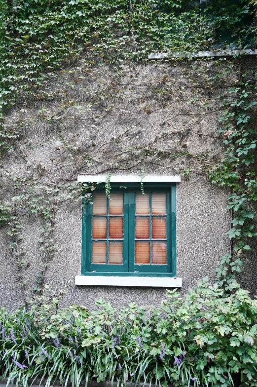 a window surrounded by flowers on top of a wall