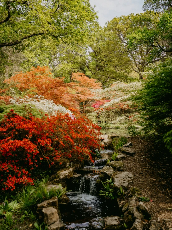 flowers and a water feature surrounded by trees