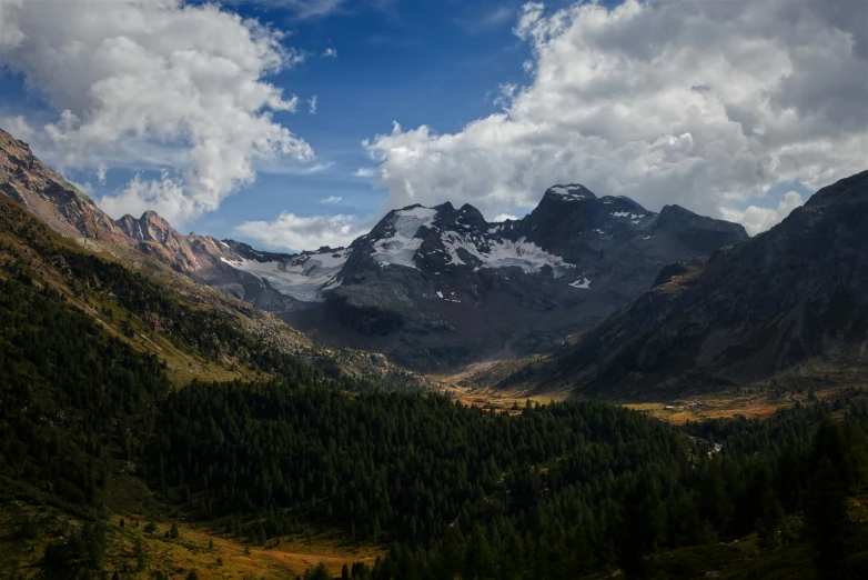 a scenic view of mountains and trees from above