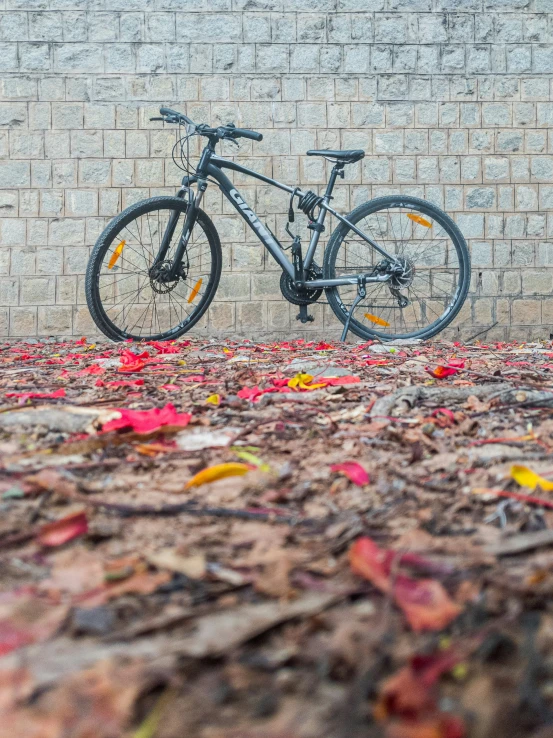 there is a bike that is parked in front of a wall