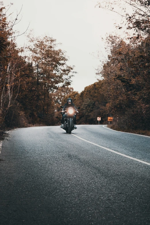 a lone motorcycle rides down the road between trees