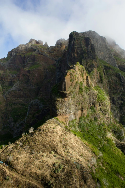 there are mountains and grass in the foreground