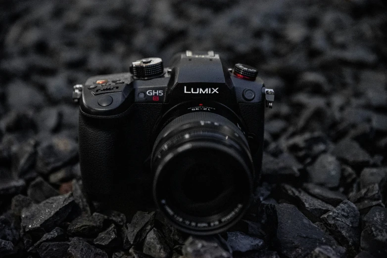 a camera sitting on the ground next to the leaves