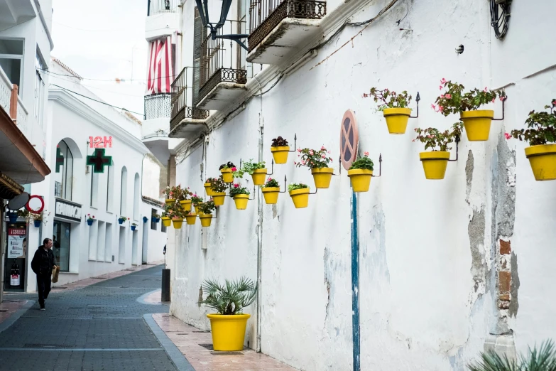 a white building with a street scene and yellow flower pots lined up on the wall