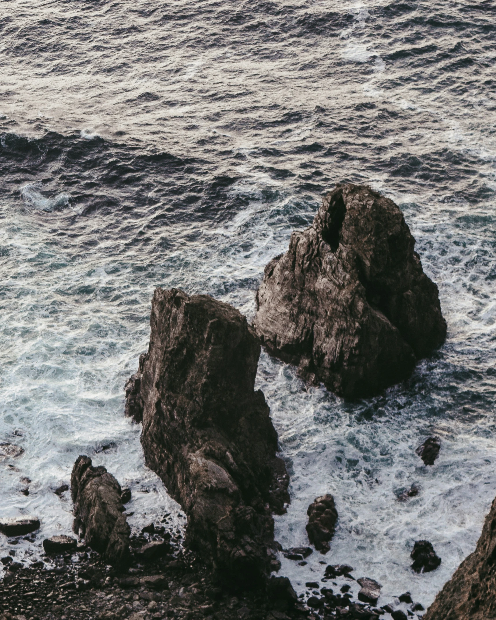 a bird standing on top of a rock by the ocean