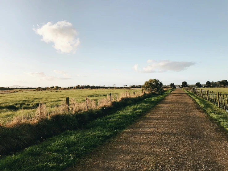 a road is lined with fields near a road