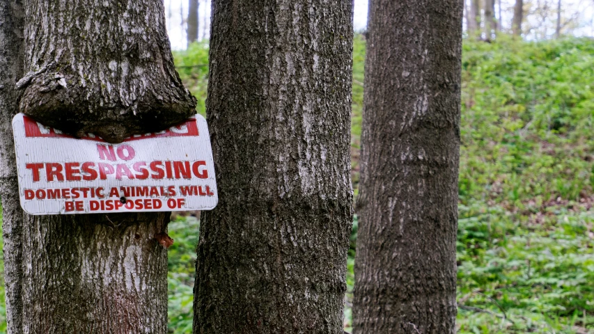 a sign warning the public of trees that are being defasised