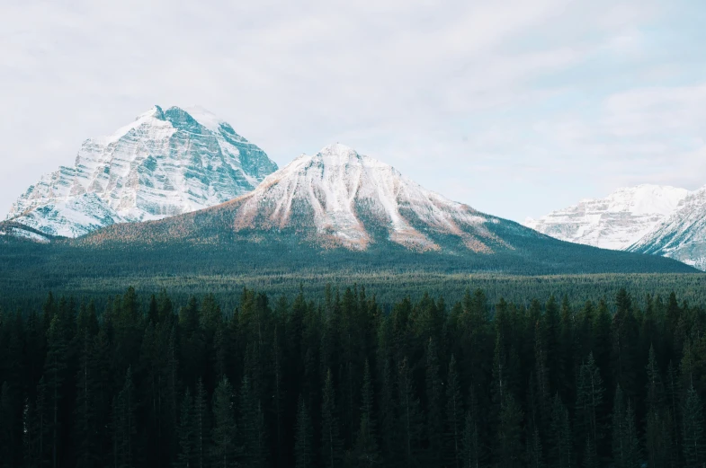 two mountains sitting in the middle of the woods