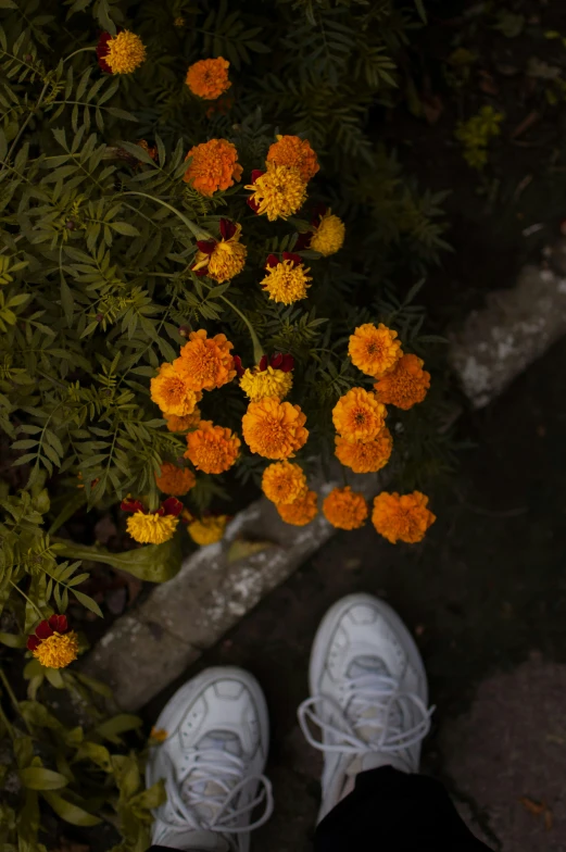 there are two shoes standing next to the flowers