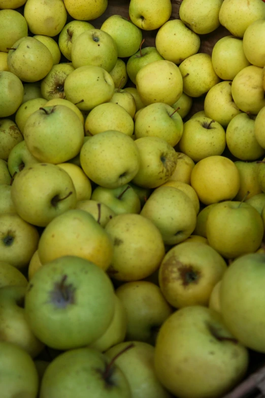 a large pile of green apples in baskets