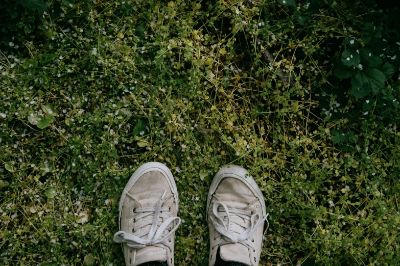 someone's tennis shoes, with grass in the background