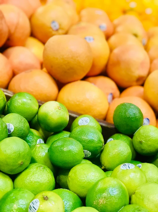 a bunch of fruit that are all orange and green