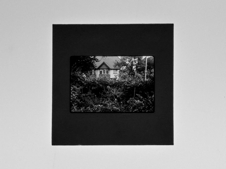 black and white po with small house near bushes