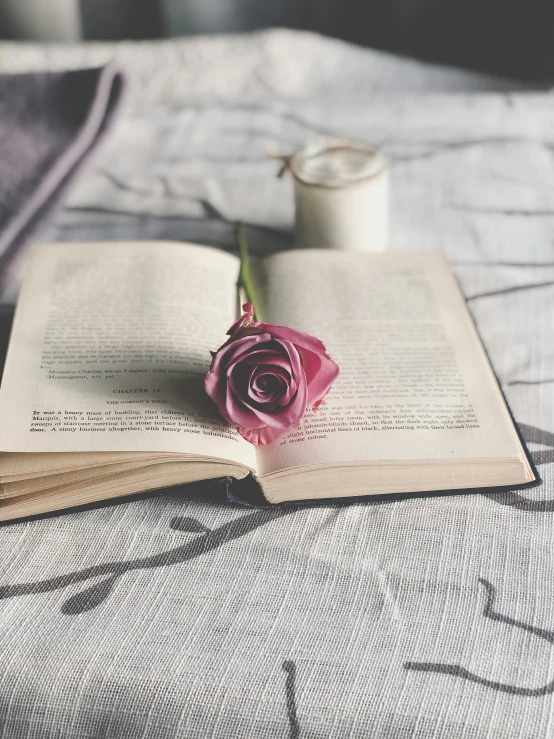 a book on a bed with an open rose