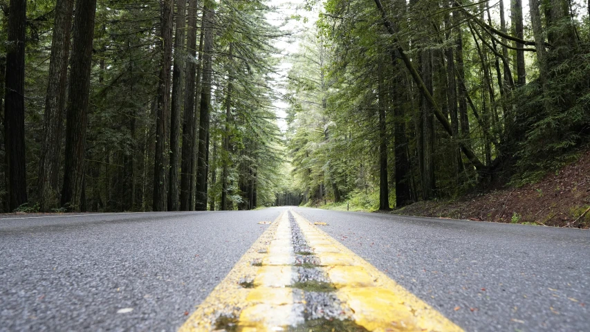 the yellow lines on a road are marking the line