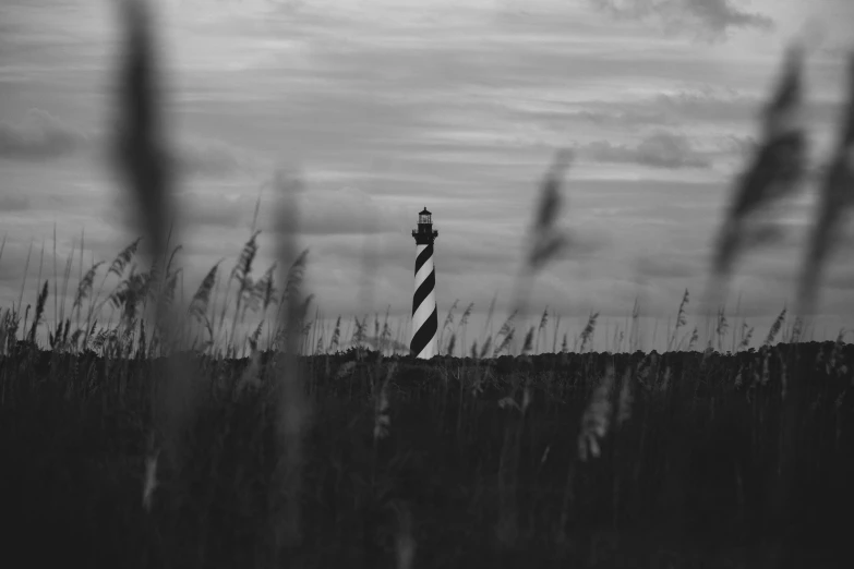 the lighthouse stands tall above the sea oats