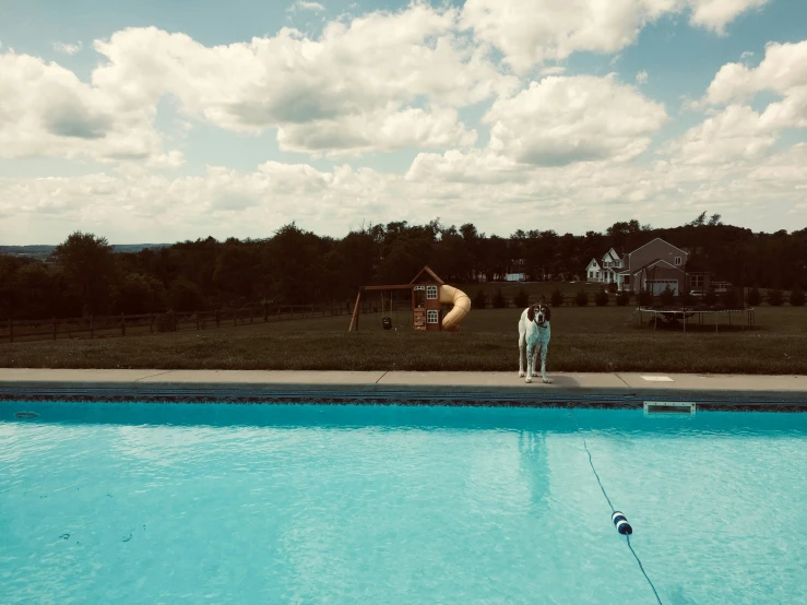a man and woman standing at the edge of a pool looking toward a house