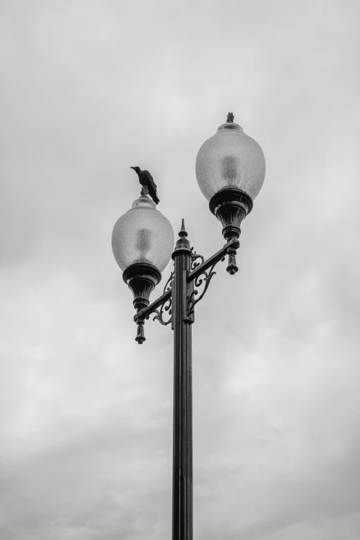 two lamps, with bird on them, on the edge of a street light