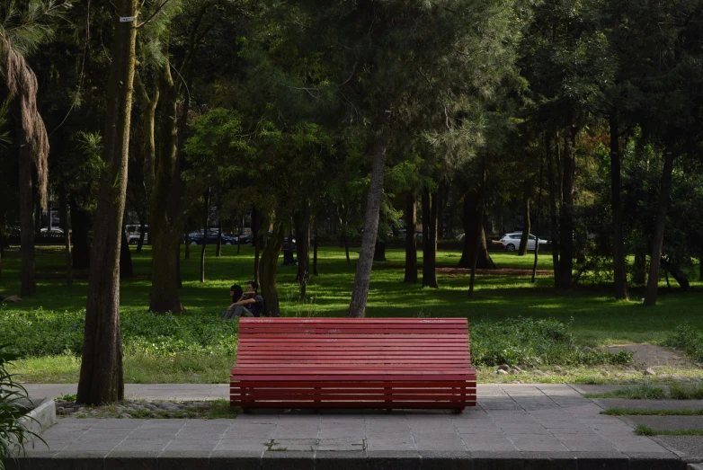 the lone person sitting on the bench is alone