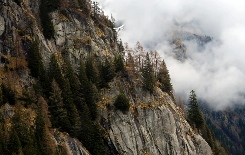 a mountain covered in trees with a cliff in the distance