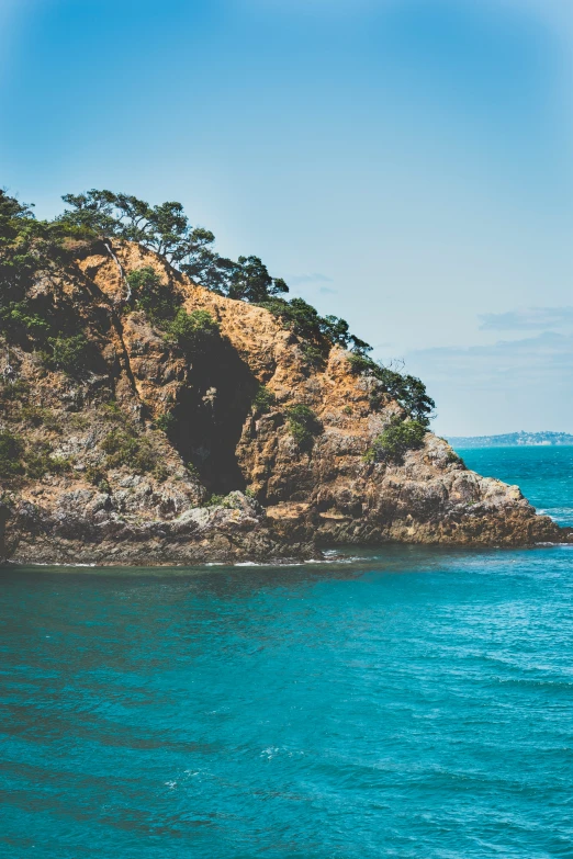 a sea bird sitting on top of an island