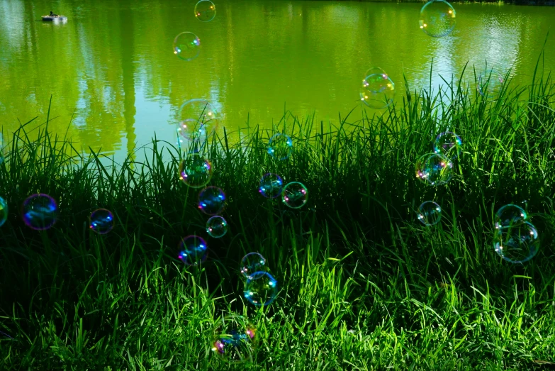 there are many bubbles floating by the water