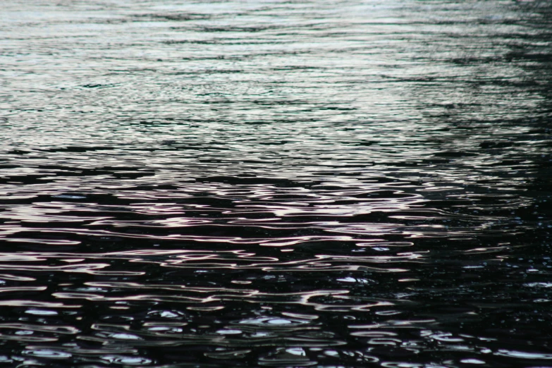 an image of a water surface in the daytime