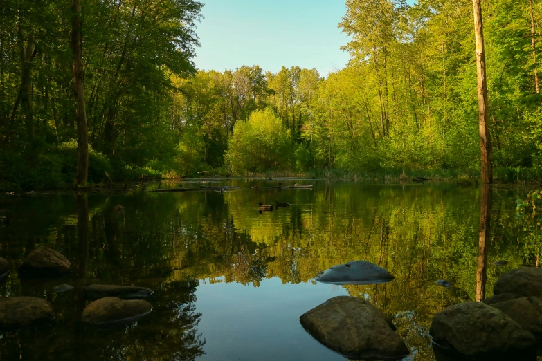 the sun shining on the water reflecting rocks and trees