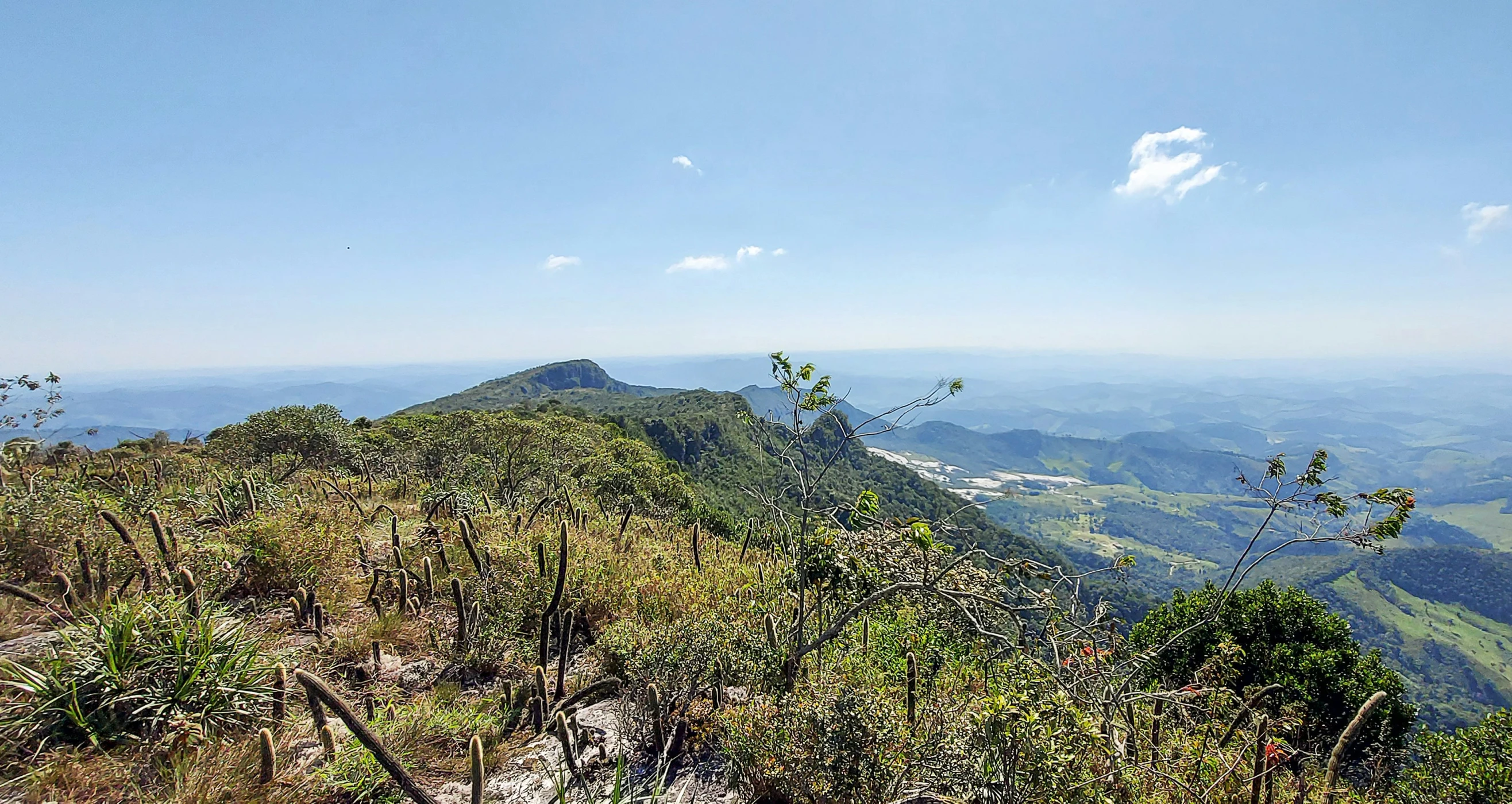 trees in the foreground with mountains and valleys in the background