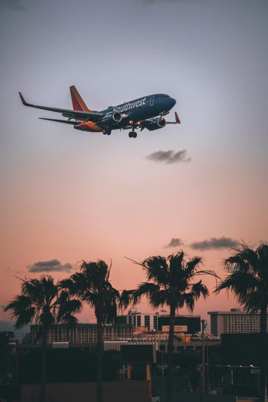 an airplane is flying in the sky during sunset