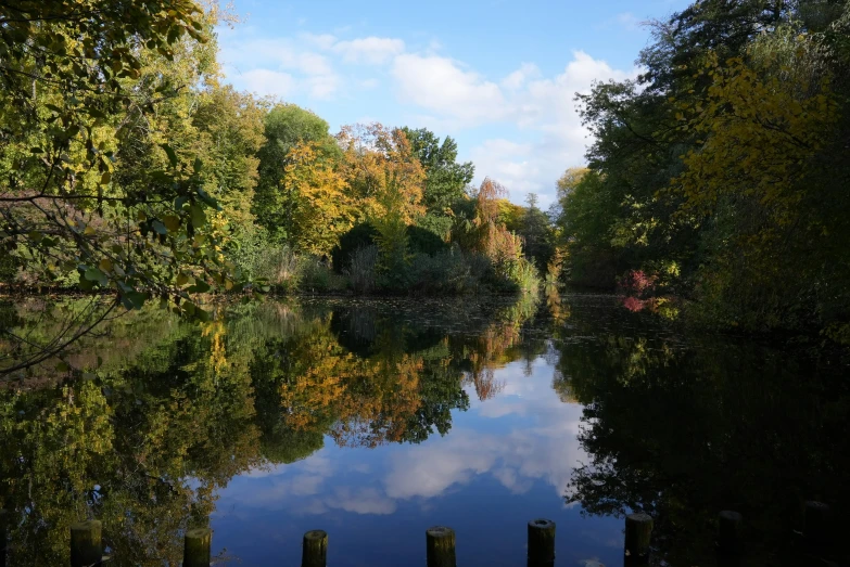 a calm river surrounded by trees in fall