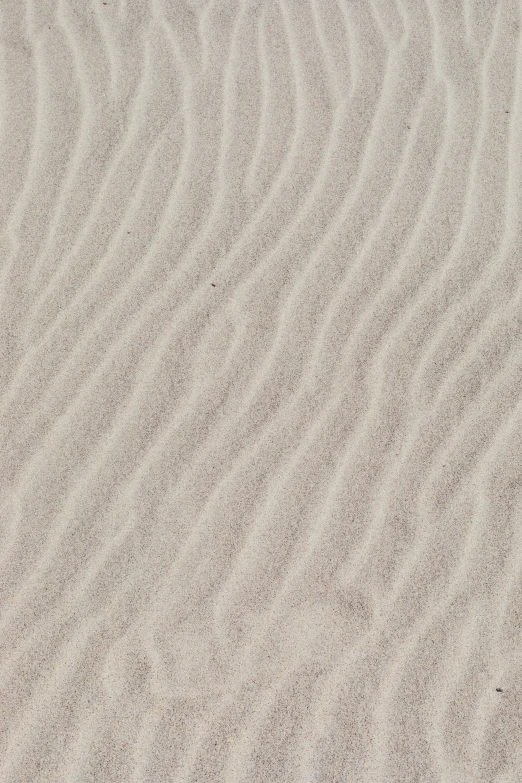 small, wavy patterns of sand can be seen here