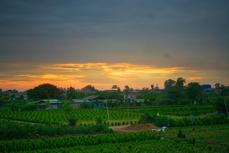 the view over a large green field and houses from across the yard