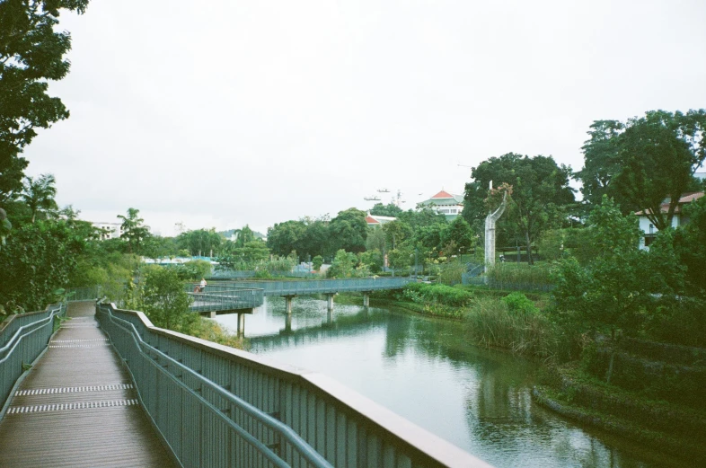 an outdoor park walkway surrounded by trees