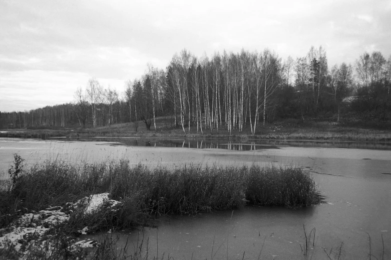 a river flowing through a countryside surrounded by woods