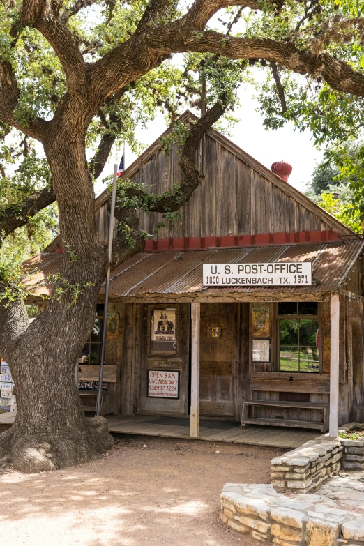 a small building with a wooden facade sits under a large tree